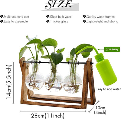 Glass Plant Terrarium with Wooden Stand – 3 Globe Vases