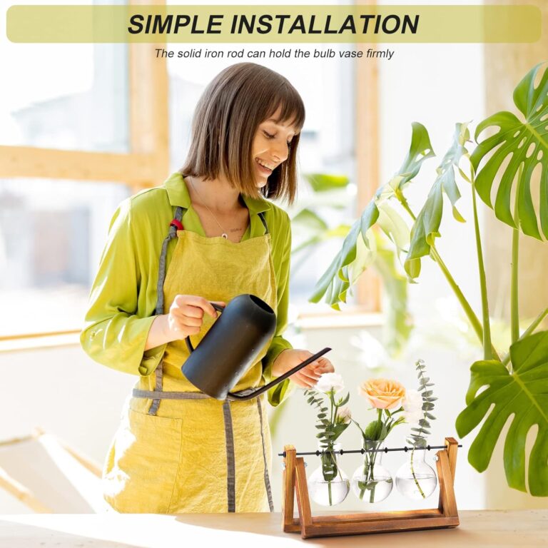 Glass Plant Terrarium with Wooden Stand – 3 Globe Vases