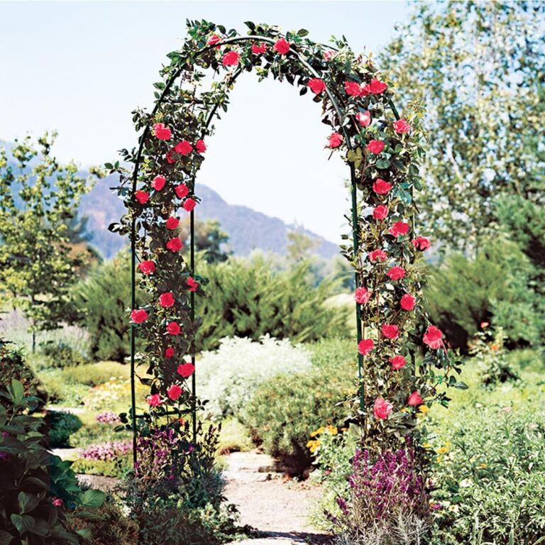 Metal Garden Arch – Wedding and Outdoor Decor