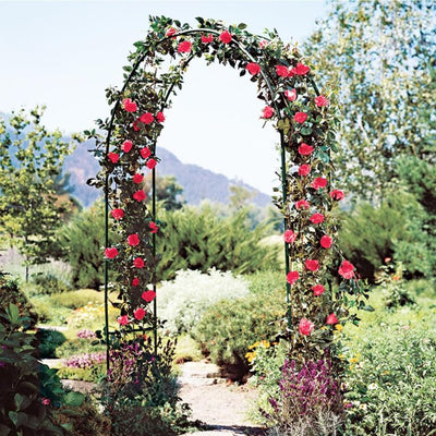Metal Garden Arch – Wedding and Outdoor Decor